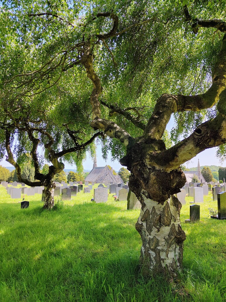 ulverston-cemetery.jpg